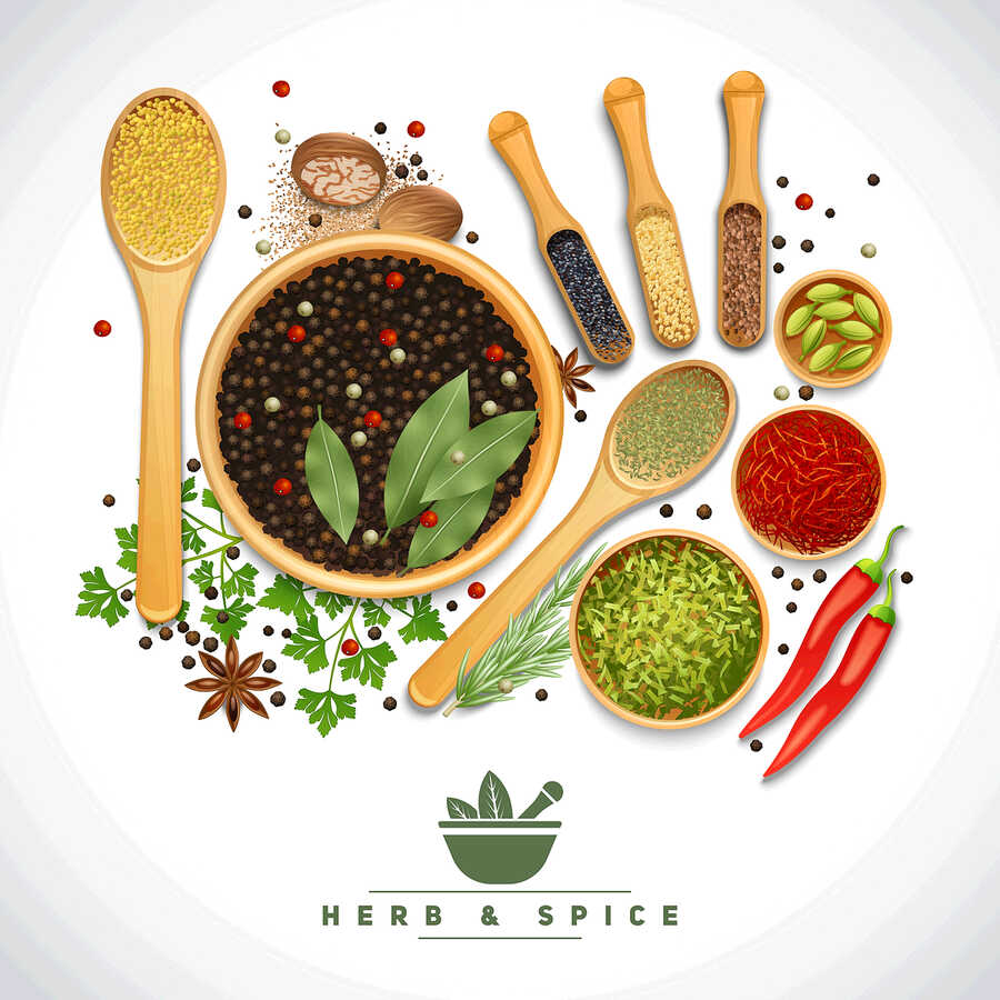 herbs-spices-02